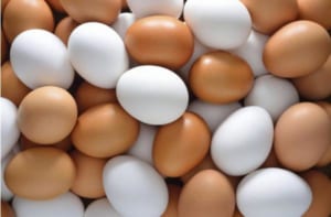 Nhận biết trứng gà bị tẩy trắng – lưu ý để đảm bảo sức khỏe